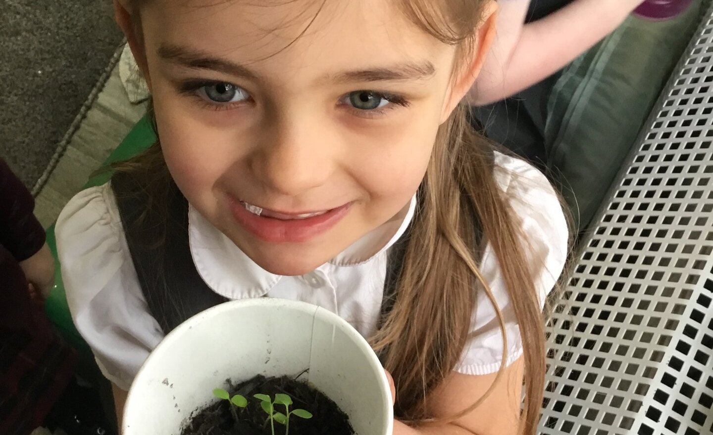 Image of Nursery: Seeds to Plants