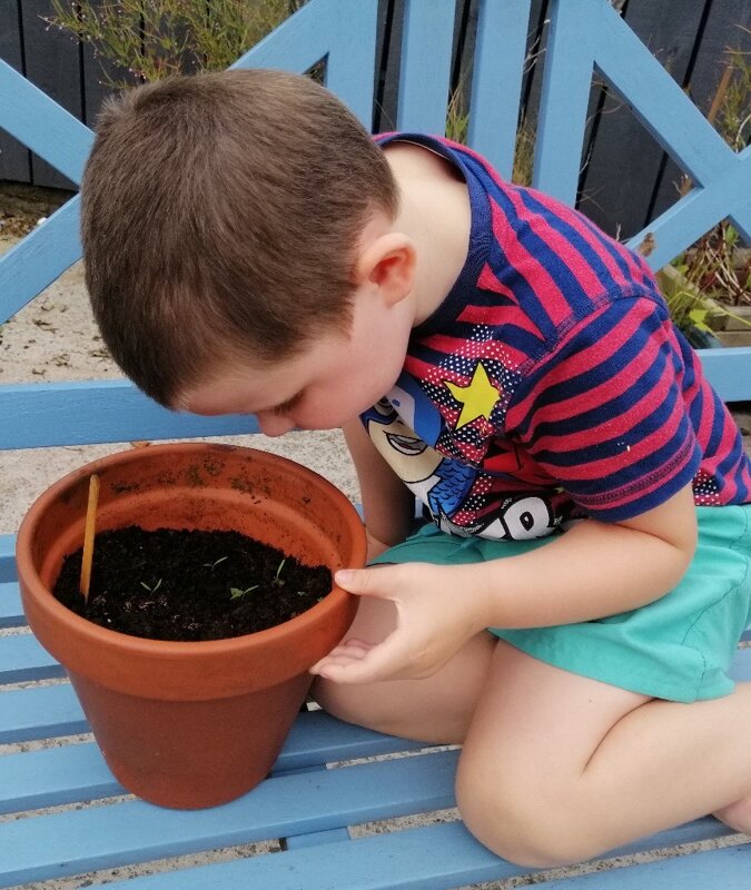 Image of Nursery planting seeds